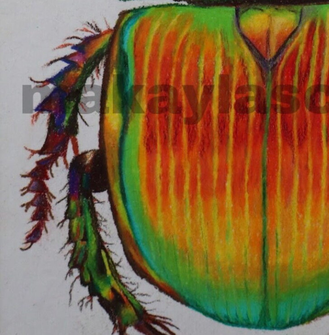 Colored Pencil Artwork Titled microscope - Etsy