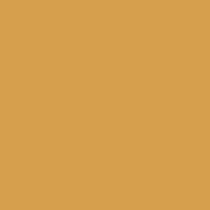 Puede incluir: Fondo liso de color mostaza. La imagen es de un solo color, sin otros elementos ni detalles. El color es un tono cálido y terroso.