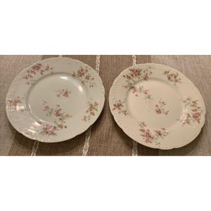 May include: Two white porcelain plates with a delicate floral pattern in pink and green. The plates have a scalloped edge and are arranged on a neutral-toned surface. The floral design is spread across the plate's surface.