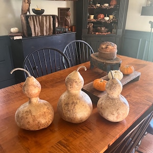 Primitive dried medium or large gourd ~primitive needful ~fall gourd ~grubby gourd-bowl filler-primitive needful-