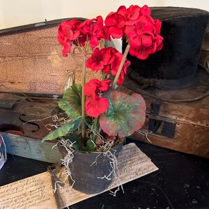 Primitive Early Look Grubby-geraniums~primitive Flowers ~primitive ...