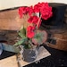 Primitive Early Look Grubby-geraniums~primitive Flowers ~primitive ...