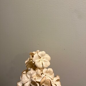 Primitive Early Look Grubby-geraniums~primitive Flowers ~primitive ...