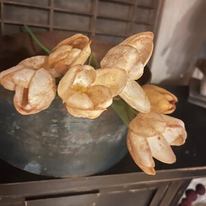 May include: A bouquet of dried flowers in shades of brown and beige, arranged in a rustic metal vase. The flowers have a delicate, papery texture and are arranged in a loose, natural style.