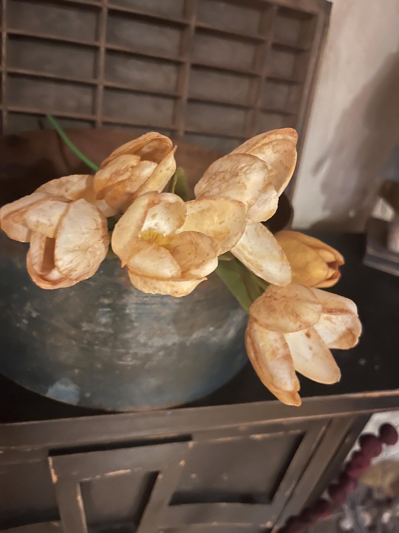 May include: A bouquet of dried flowers in shades of brown and beige, arranged in a rustic metal vase. The flowers have a delicate, papery texture and are arranged in a loose, natural style.