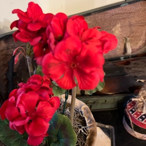 Primitive Grubby Geraniums, Handmade Americana Decor - Etsy