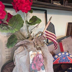 Primitive Early Look Grubby-geraniums~primitive Flowers ~primitive ...