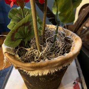 Primitive Early Look Grubby-geraniums~primitive Flowers ~primitive ...