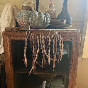 May include: A wooden cabinet with a wire mesh door and shelves. Dried beans hang from the top shelf. A pumpkin, two glass bottles, and a ceramic vase are on the top of the cabinet.
