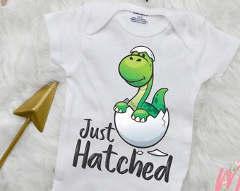 dinosaur outfit baby