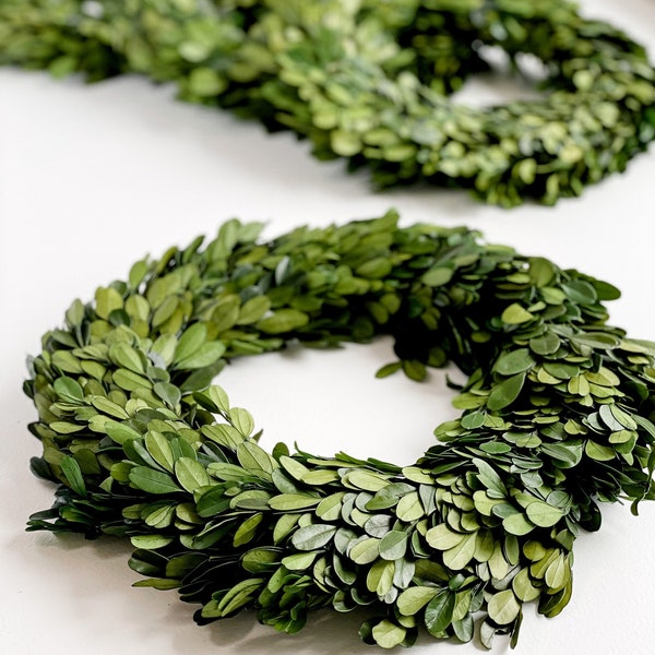 Preserved Boxwood Wreath, 12 inch Wreath for Door, Indoor Wreath, Wreath for Mantle, Greenery Wreath, Spring Wreath, Summer Decor