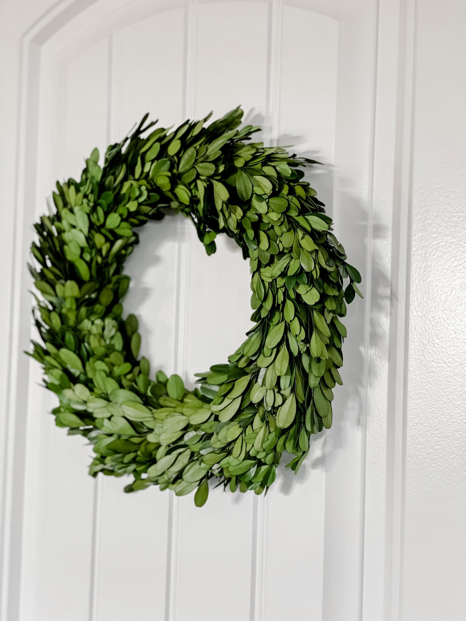 2. Verdant Charm: Delicate Preserved Boxwood Wreath