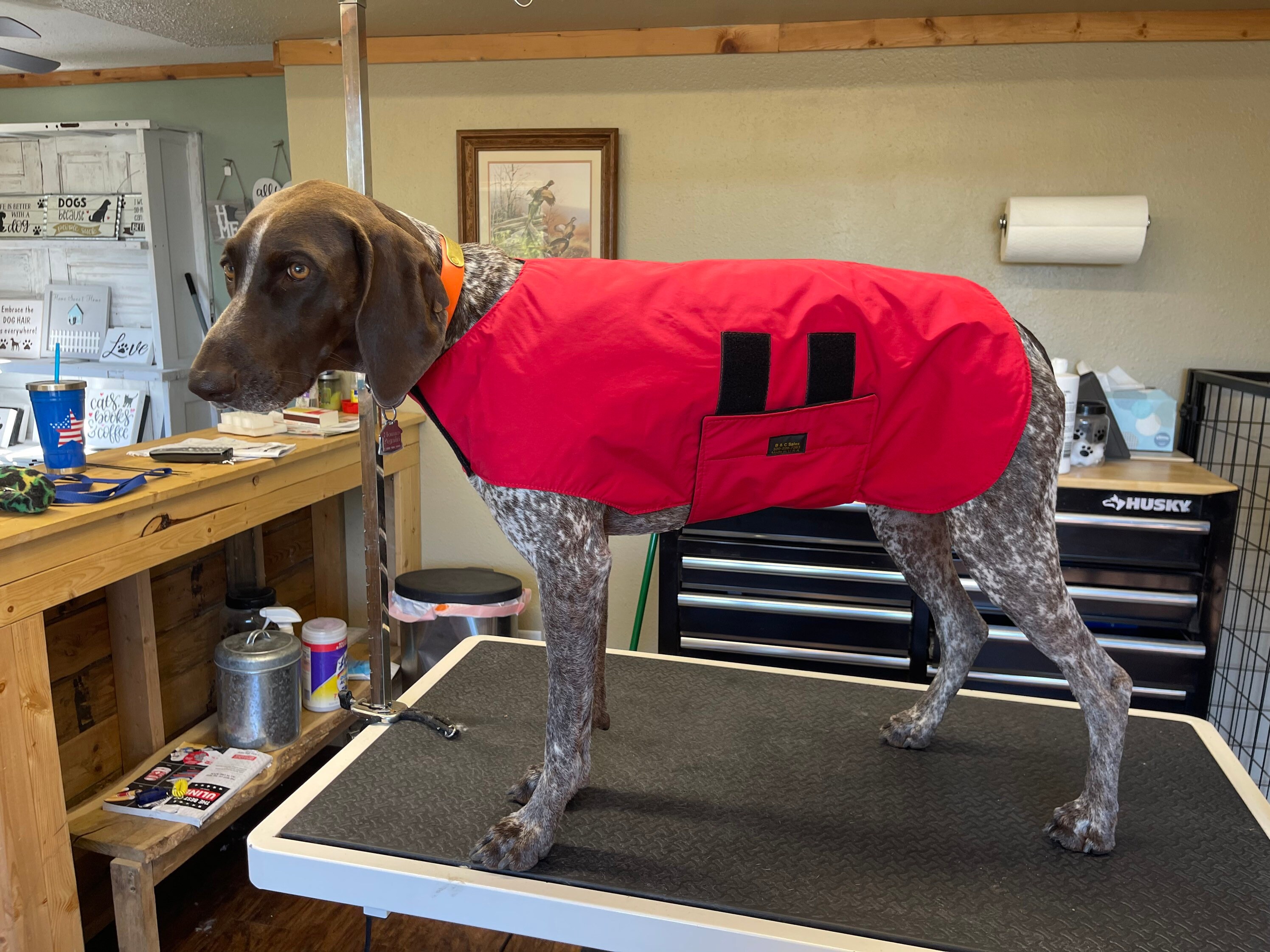 Medium Dog Coats fits 4060 Lbs Etsy