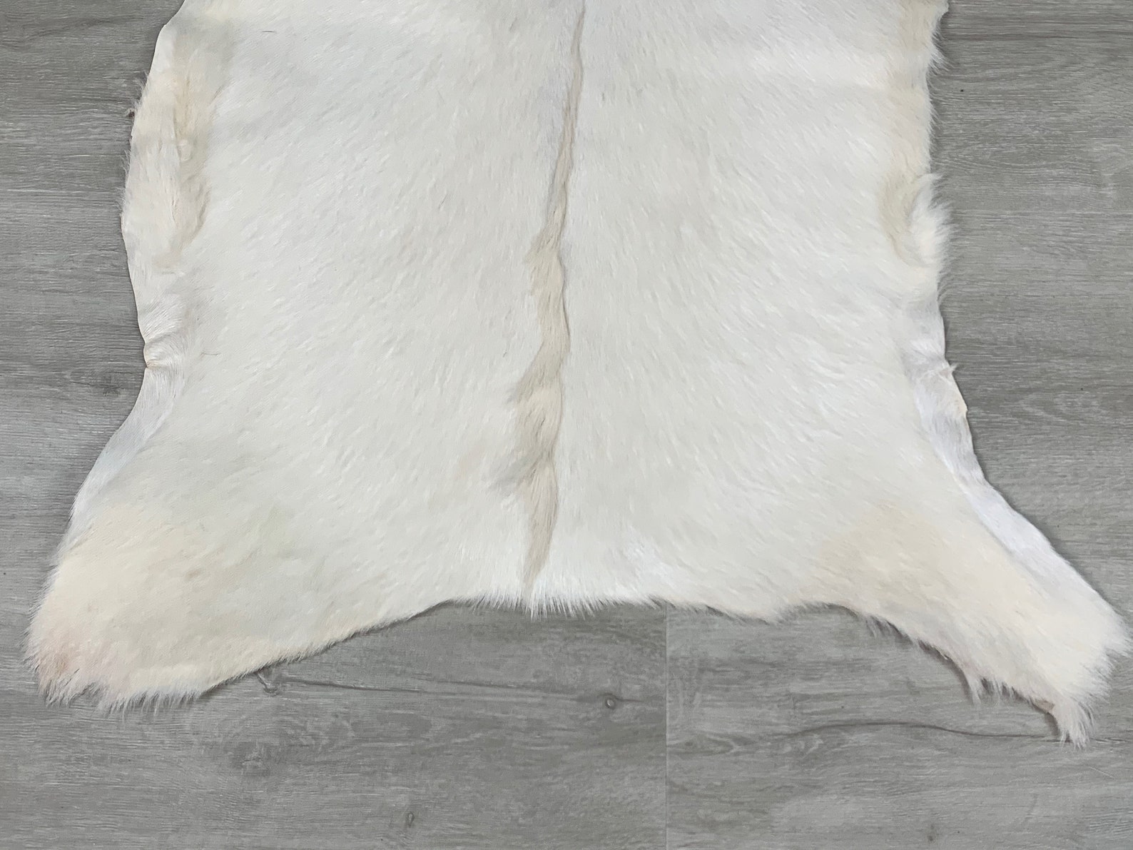 Goat White Brown Rug Pelt Hide Real Goat Skin Rug Genuine Etsy