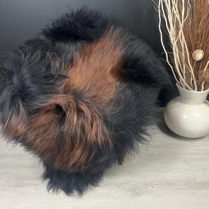 May include: A round, fluffy sheepskin rug featuring a blend of long, thick black and deep brown fur. The texture is dense and shaggy, creating a soft, voluminous appearance with a natural color gradient transitioning between the dark tones.
