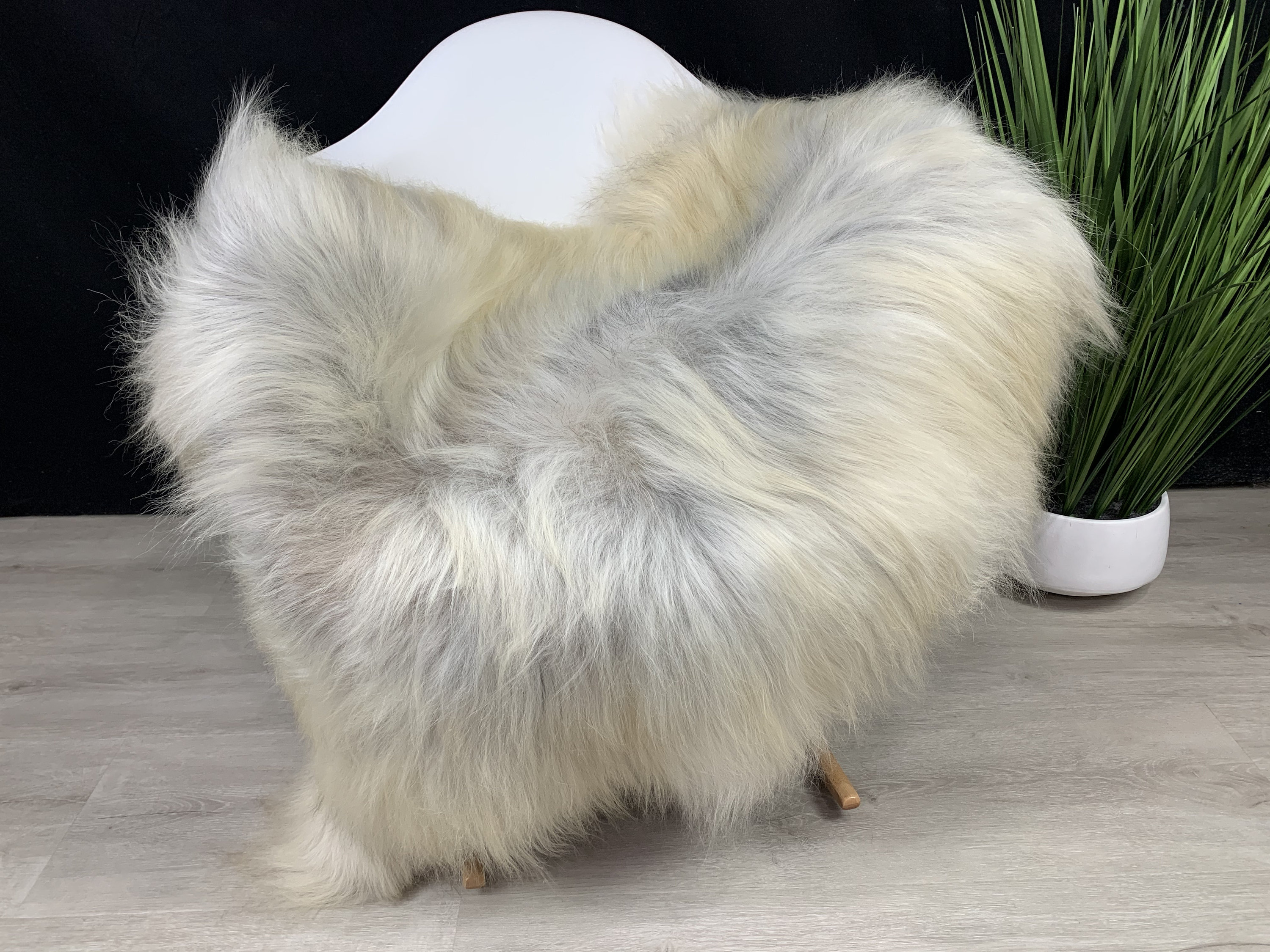 Unique White Gray Genuine Sheepskin Rug Beautiful Natural Etsy