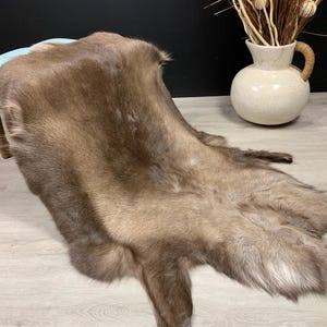 XXL GENUINE Scandinavian Reindeer Hide * Exclusive Reindeer skin rug hide pelt throw