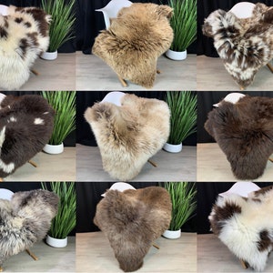 May include: Nine sheepskin rugs in various colors and patterns, including white, brown, and black, displayed on white chairs with green plants in pots.