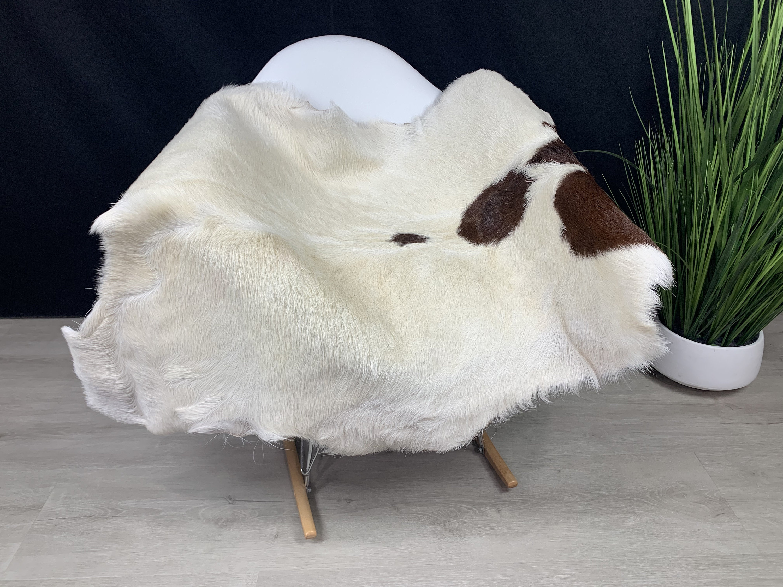 Large Goat Rug Pelt Hide Real Goat Skin Rug Genuine Natural Etsy