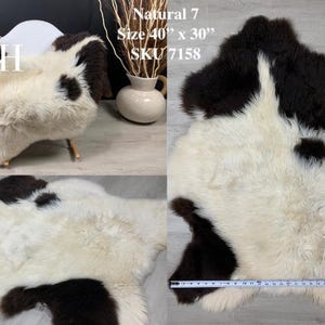 May include: Natural 7 sheepskin rug in white and brown with a size of 40" x 30" and SKU 7158. The rug is shown on a wooden floor and a white chair.