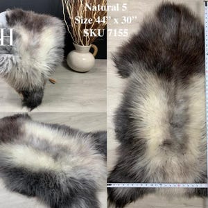 May include: A sheepskin rug with a white center and gray edges. The rug is 44 inches by 30 inches and is labeled "Natural 5" and "SKU 7155".