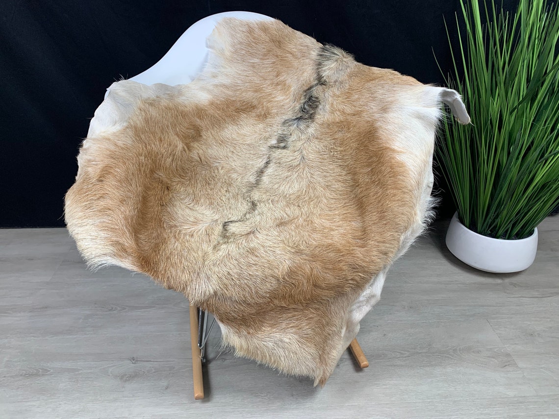 Goat Brown White Rug Pelt Hide Real Goat Skin Rug Genuine Etsy