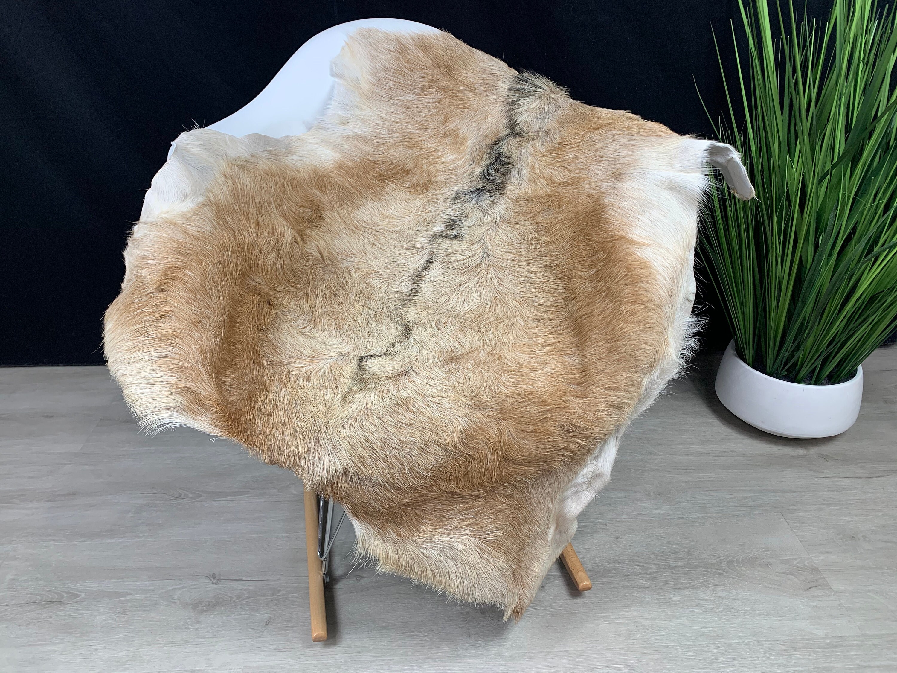 Goat Brown White Rug Pelt Hide Real Goat Skin Rug Genuine Etsy