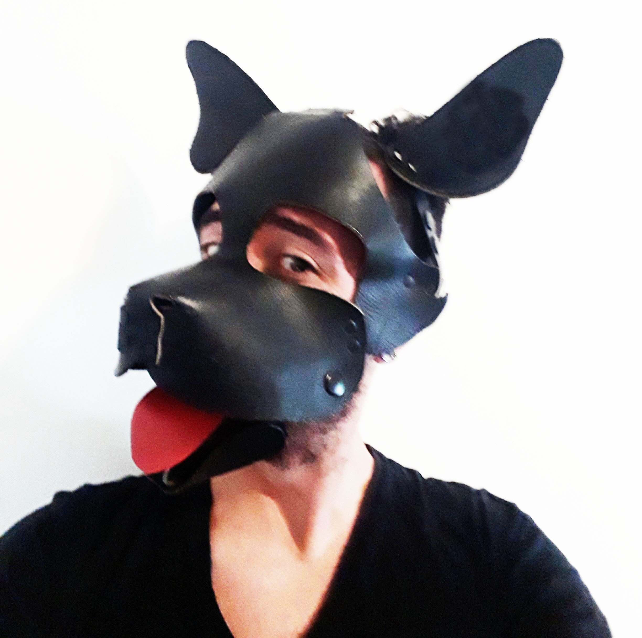 Leather Puppy Dog Muzzles Etsy