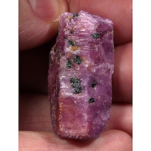 May include: A deep pink ruby crystal with black inclusions. The crystal is rough and has a natural, unpolished finish.