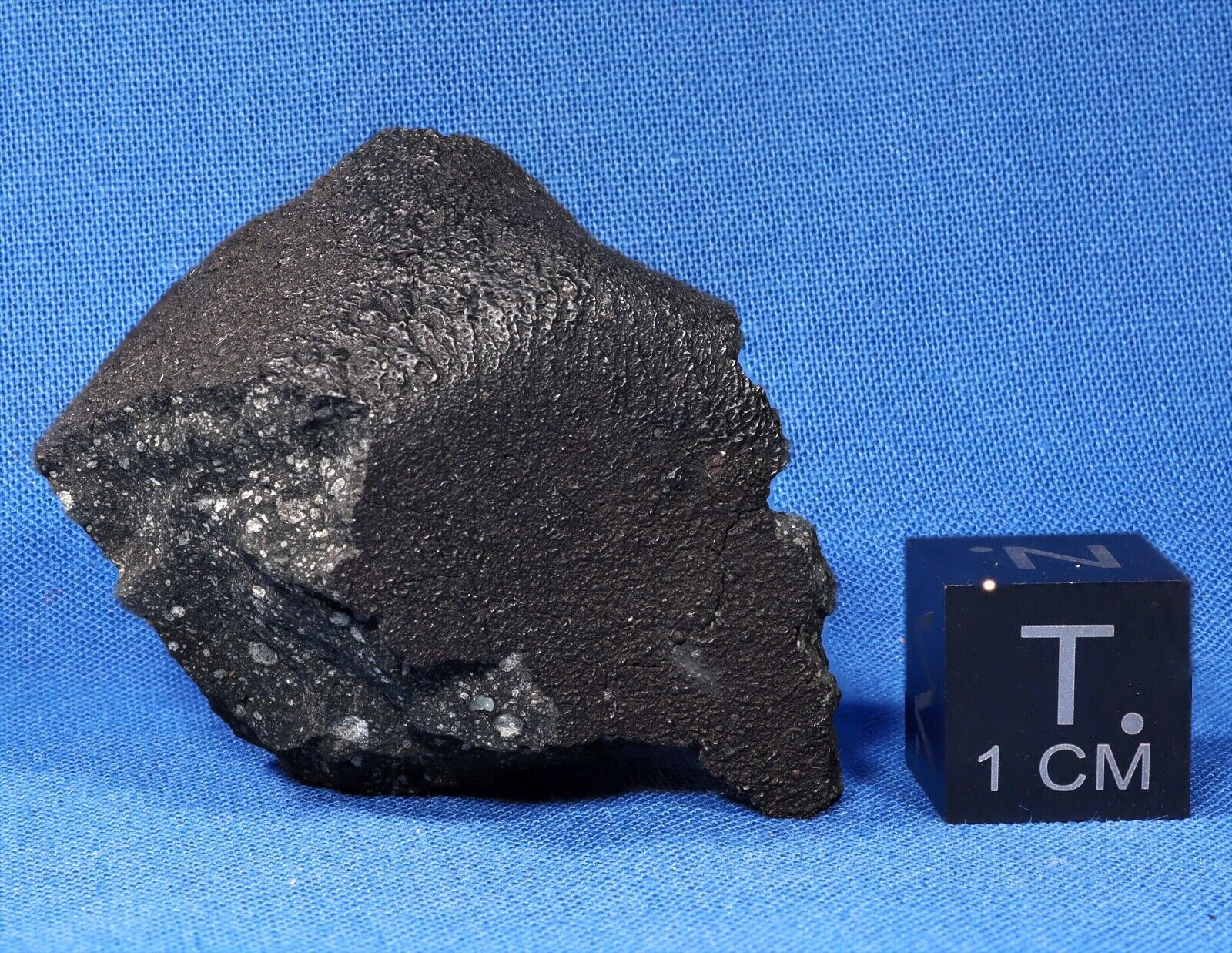 23.25 Gram Murchison Meteorite W/ Fusion Crust (CM2 Carbonaceous