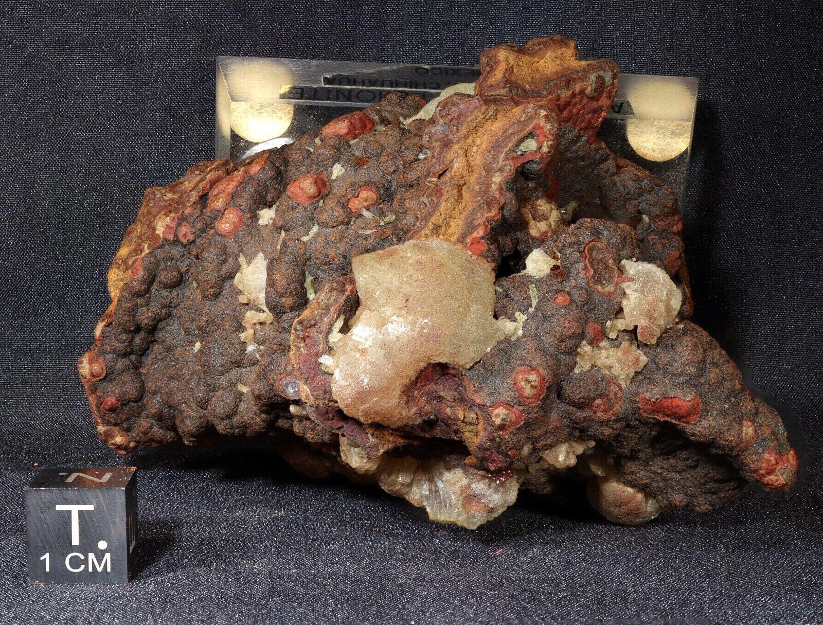 メキシコ、デュランゴ州オフエラ鉱山産の褐鉄鉱上のアダマイト - Etsy 日本