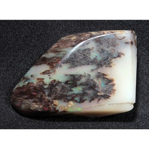 Cenny stabilny opal z Virgin Valley w Nevadzie - 63,9 ct - opalizowany