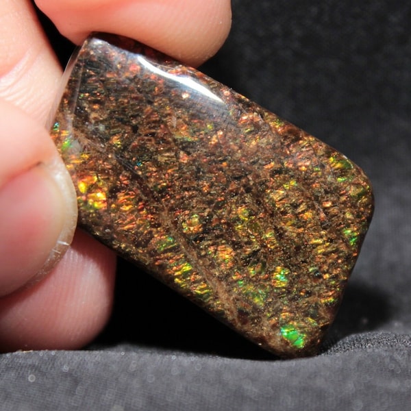 Beautiful 30.5 ct Ammolite Ammonite Cabochon from Alberta, Canada
