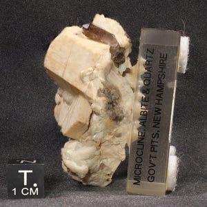 5.3 cm Smoky Quartz on Microcline Albite from Government Pits, New Hampshire
