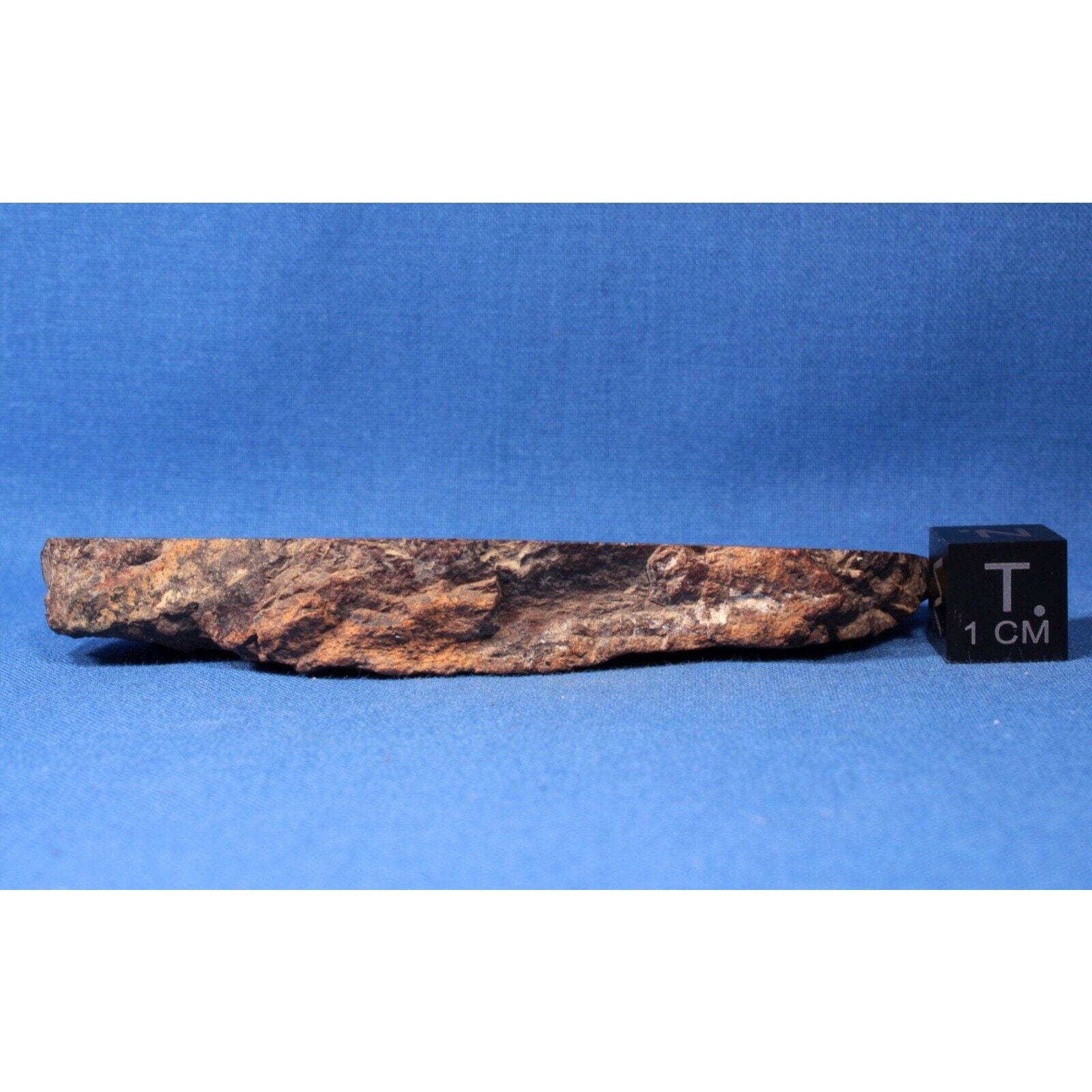 51.25 Gram Davy (a) Meteorite Slice - Chondrite L4 - Found 1940 in