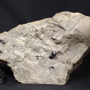 9.0 cm Calcite with Franklinite Crystals from Trotter Mine, Franklin, New Jersey