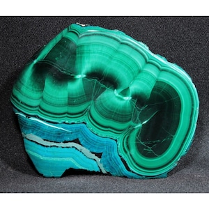 6.1 cm Vibrant Chatoyant Malachite with Chrysocolla from Congo - 89 grams