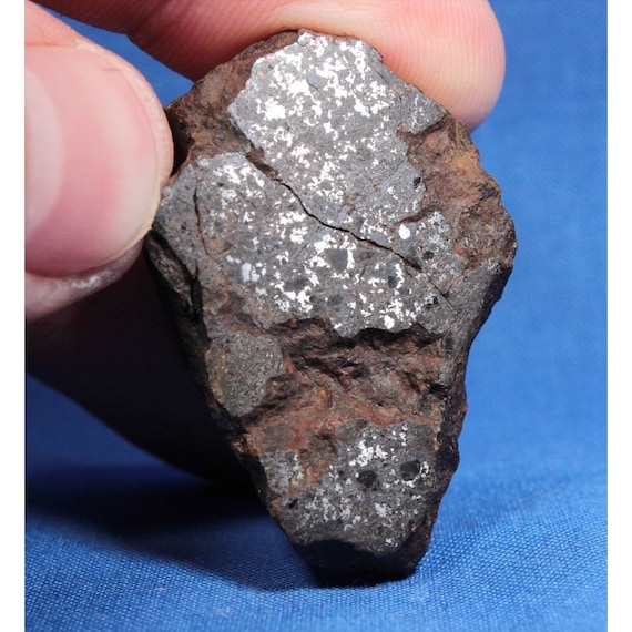 34.5 Gram Vaca Muerta Meteorite End Slice - Mesosiderite