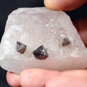 3 Anatase Crystals on Quartz from Hardangervidda West, Norway