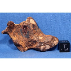 110 gram Agoudal Individual Meteorite - Iron, IIAB - Found 2000 in Morocco