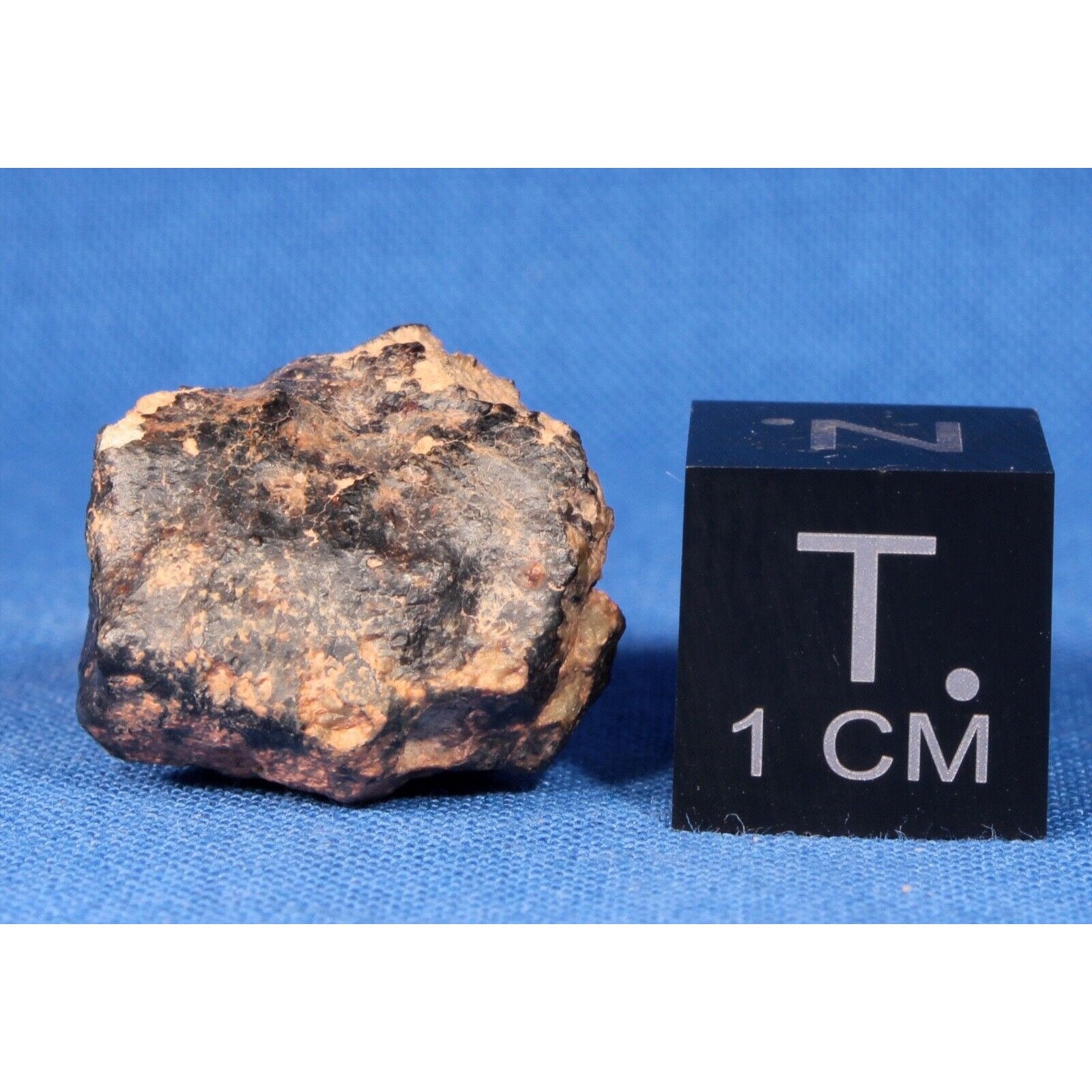 4.2 グラム NWA 7677 個別隕石 - 原始的エイコンドライト ダイオジェ