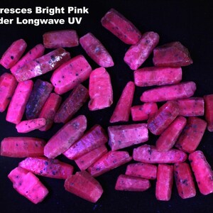 May include: A collection of pink ruby crystals fluorescing brightly under longwave UV light. The crystals are all elongated and have a rough, natural surface.