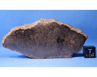 51.25 Gram Davy (a) Meteorite Slice - Chondrite L4 - Found 1940 in
