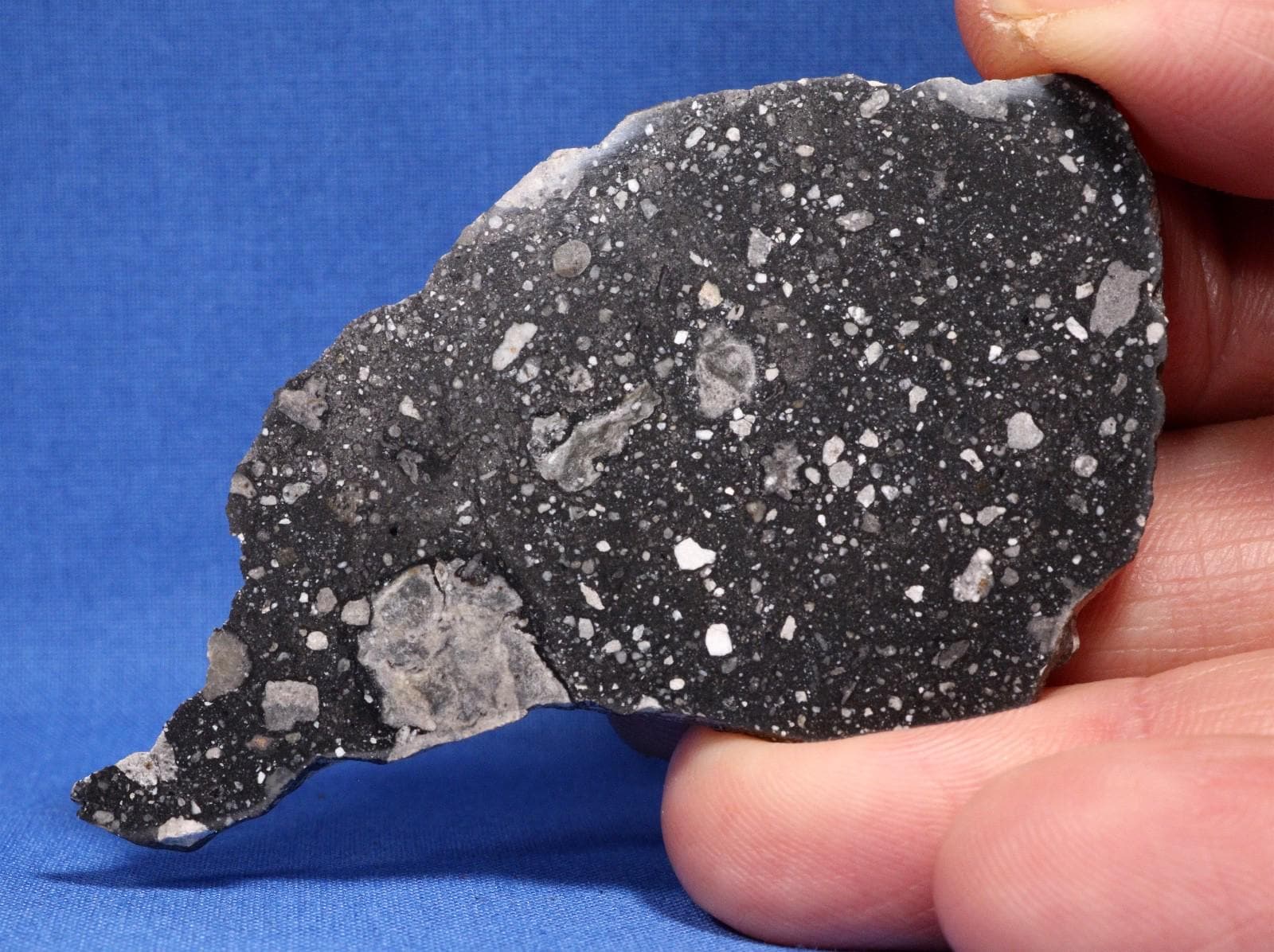 化石　A-14 11.4 Gram NWA 14577 Meteorite Polished Slice - Lunar Frag. Breccia