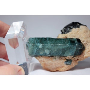 6.5 cm tall Fluorapatite Apatite Crystal & Biotite in Matrix from Bahia, Brazil