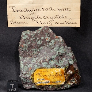 May include: A dark gray volcanic rock with green and red crystals. The rock has a label that reads "Trachytic" and a handwritten label that reads "Trachytic rock with Augite crystals Volcanic Italy, Miss Kelso".