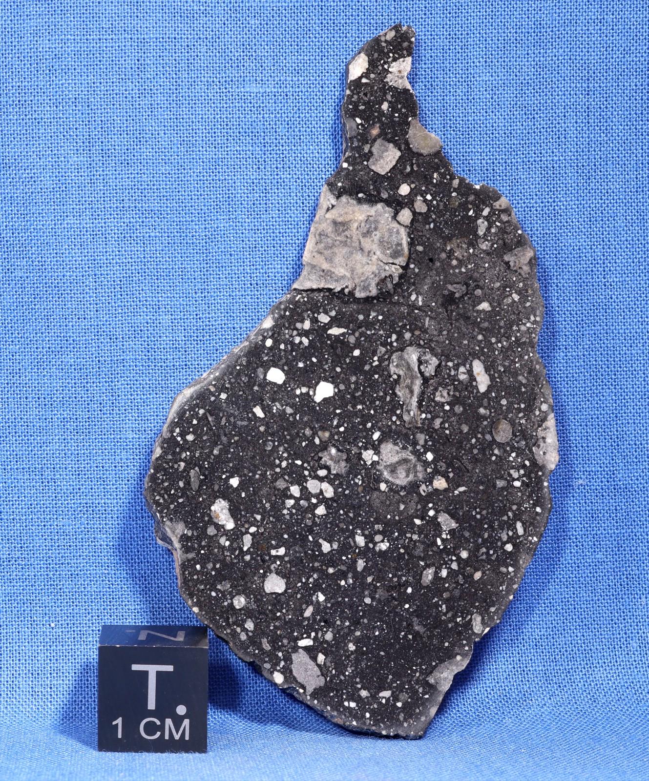 11.4 Gram NWA 14577 Meteorite Polished Slice - Lunar Frag. Breccia