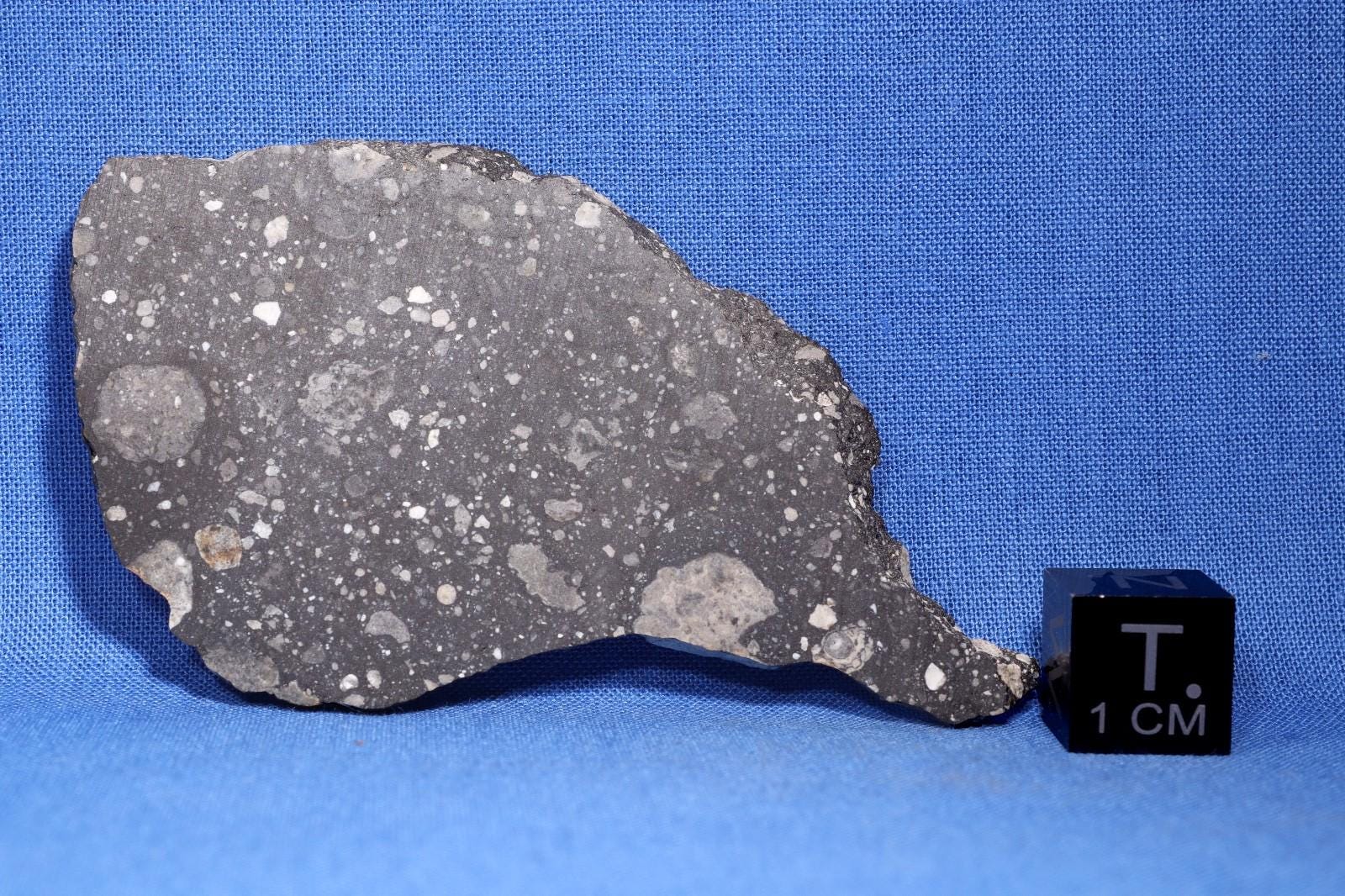 11.4 Gram NWA 14577 Meteorite Polished Slice - Lunar Frag. Breccia