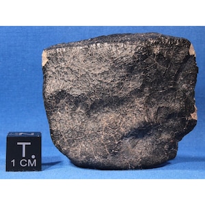 38,6 gramas NWA 1109 Meteorite End Cut com crosta de fusão - Eucrite Polymict