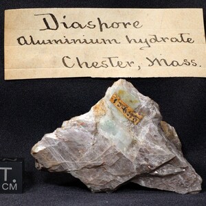 May include: A light gray, irregularly shaped rock with a small, gold label that reads "15833". The rock is labeled "Diaspore aluminum hydrate Chester, Mass."